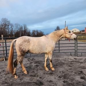 Meet your Posher, Bryce